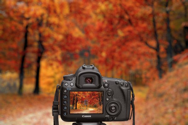 All the reels – Instagram inspiration for autumn