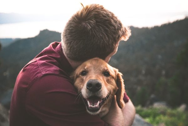 Love your Dog – Tag des Hundekuchens